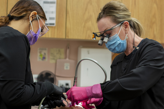 Dr. Grady works with a patient